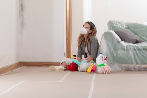 Reliable Mold Cleanup contractor in Newton, TX by Cheap Mold Removal